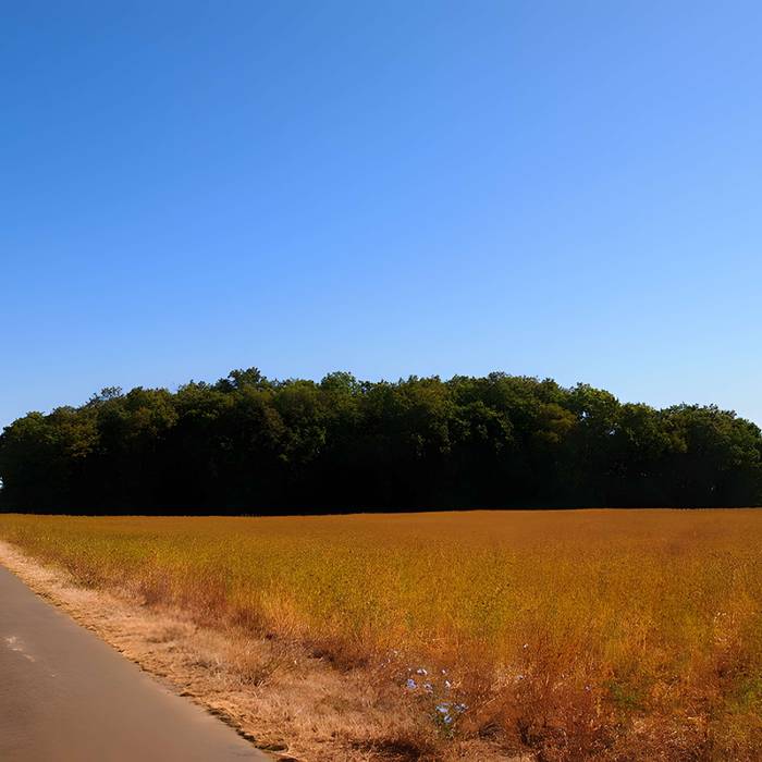 Photo de Tumulus dit de La Justice