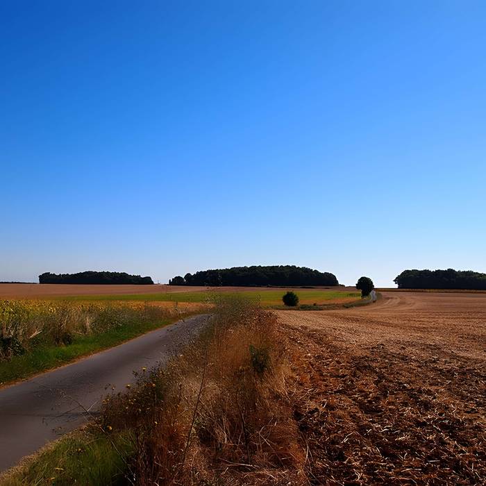 Photo de Tumulus dit le Vieux Breuil
