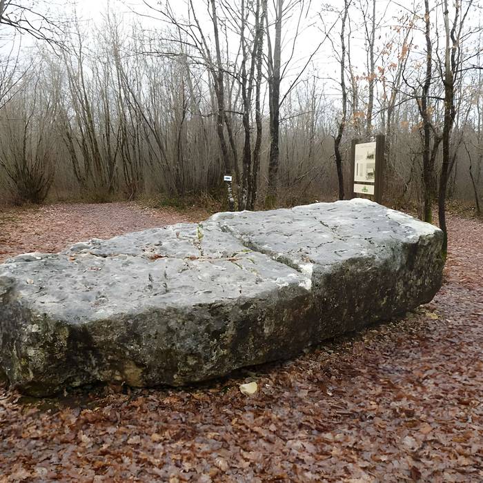 Photo de Dolmen dit de la Boixe