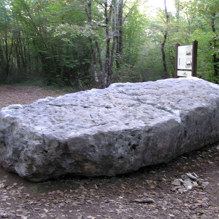 Photo de Dolmen dit de la Boixe