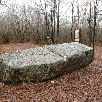Dolmen dit de la Boixe