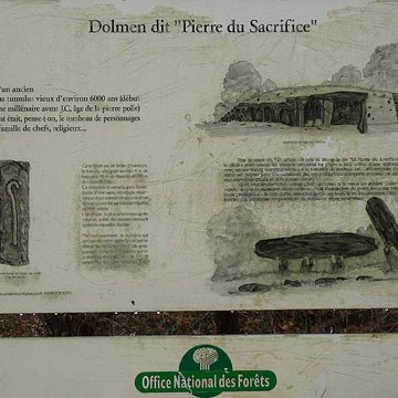 Dolmen dit de la Boixe