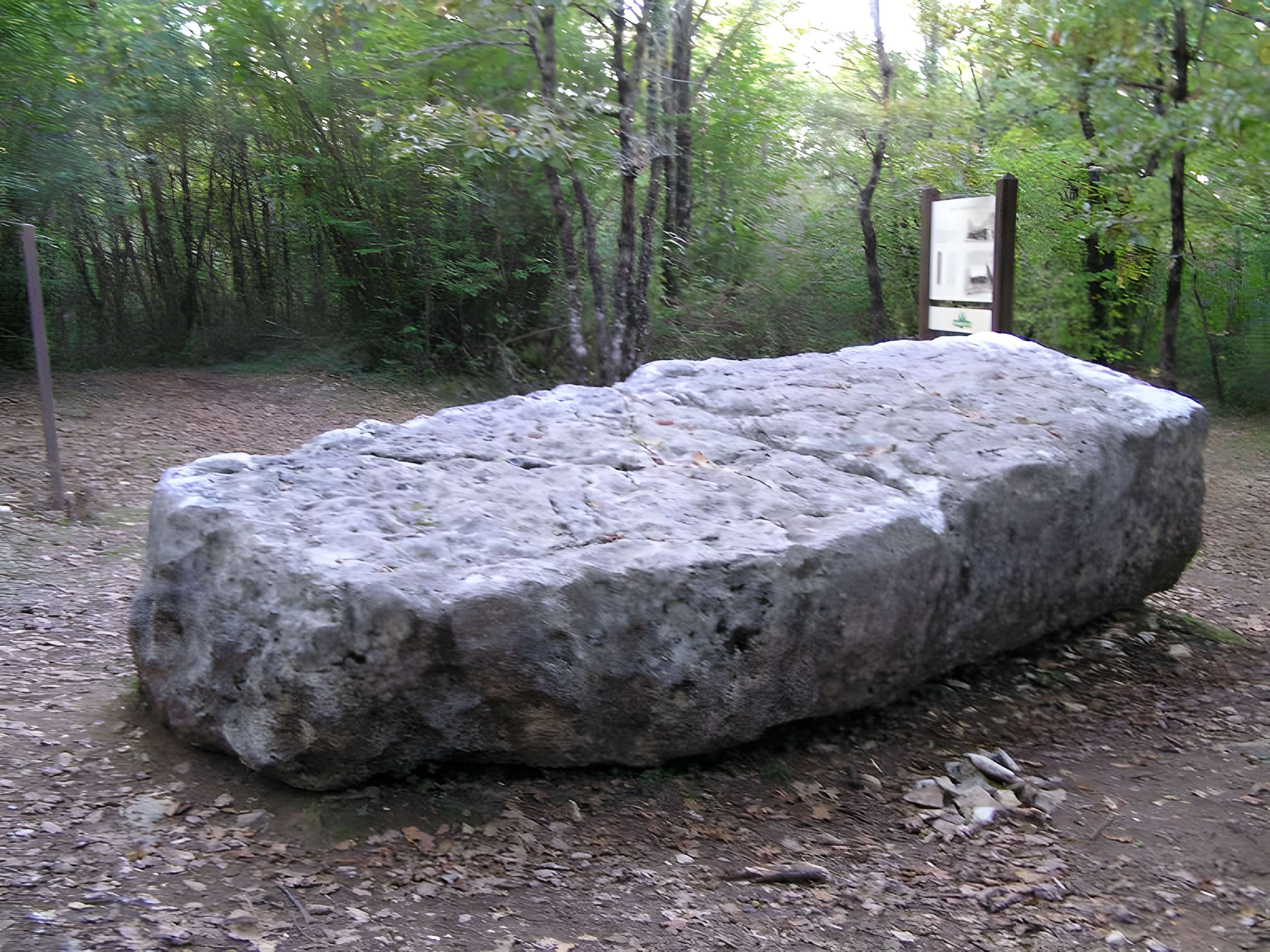 Dolmen dit de la Boixe