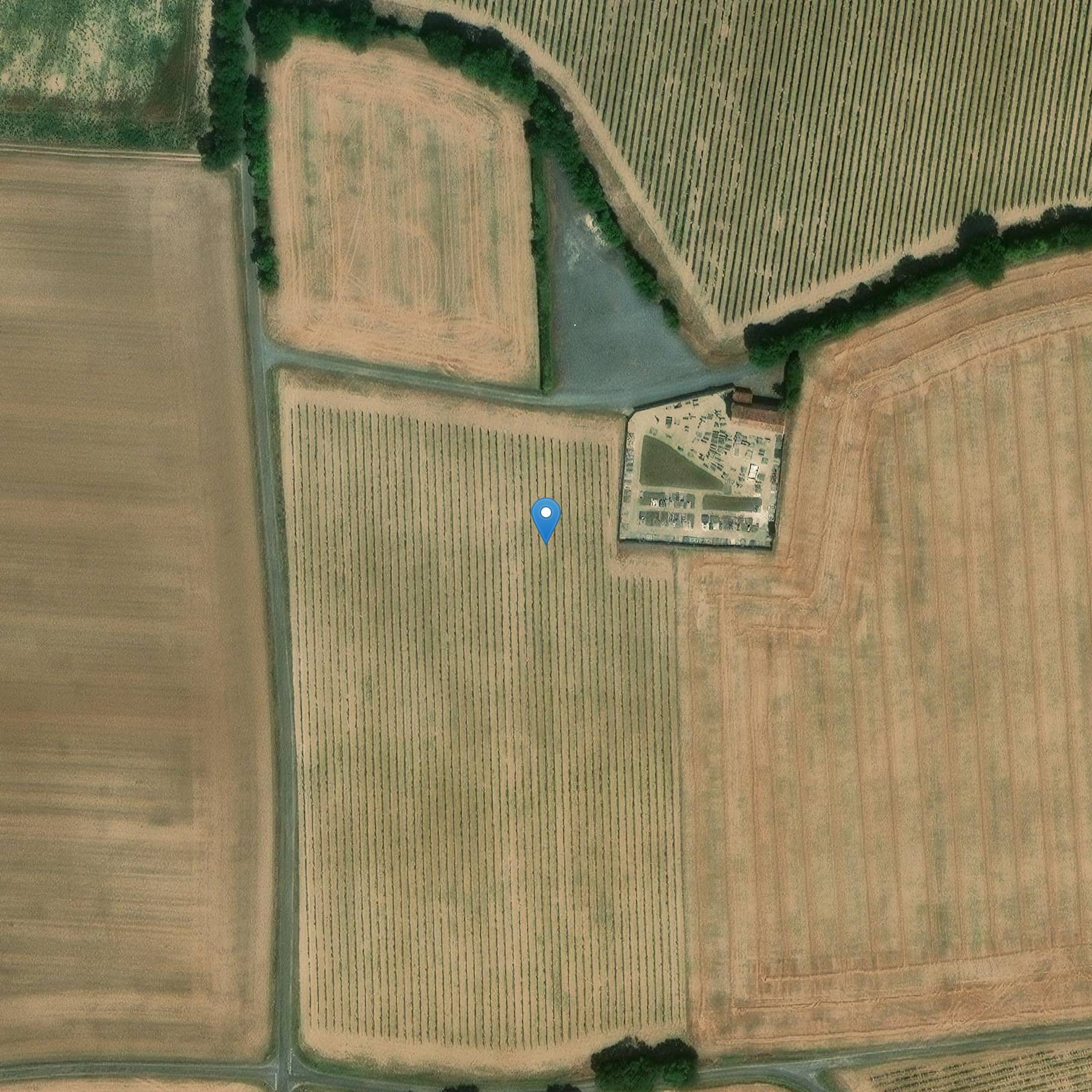 Photo de Croce romanica