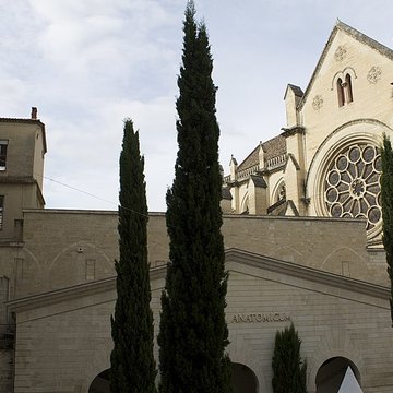 Cathédrale Saint-Pierre de Montpellier