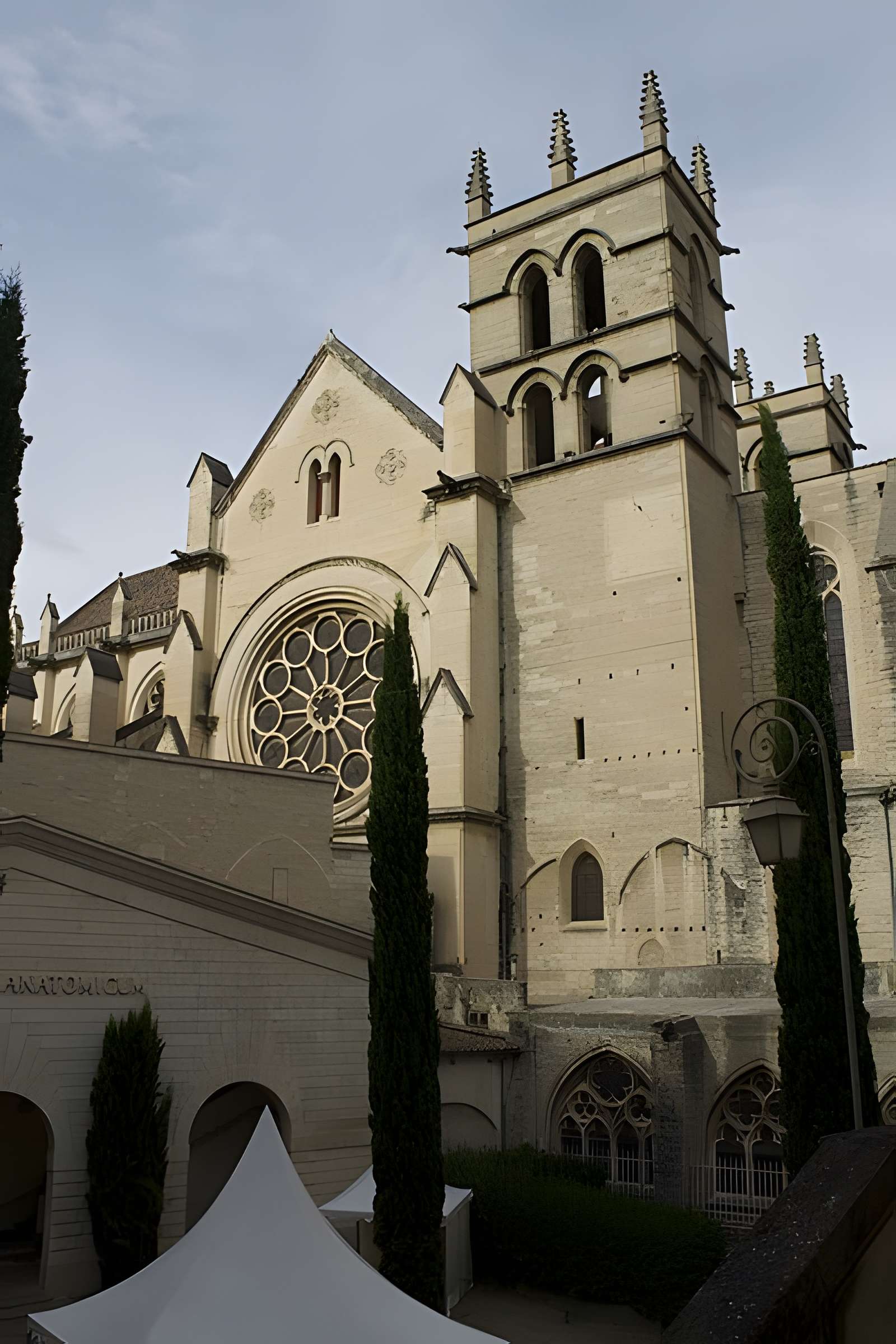 Cathédrale Saint-Pierre de Montpellier