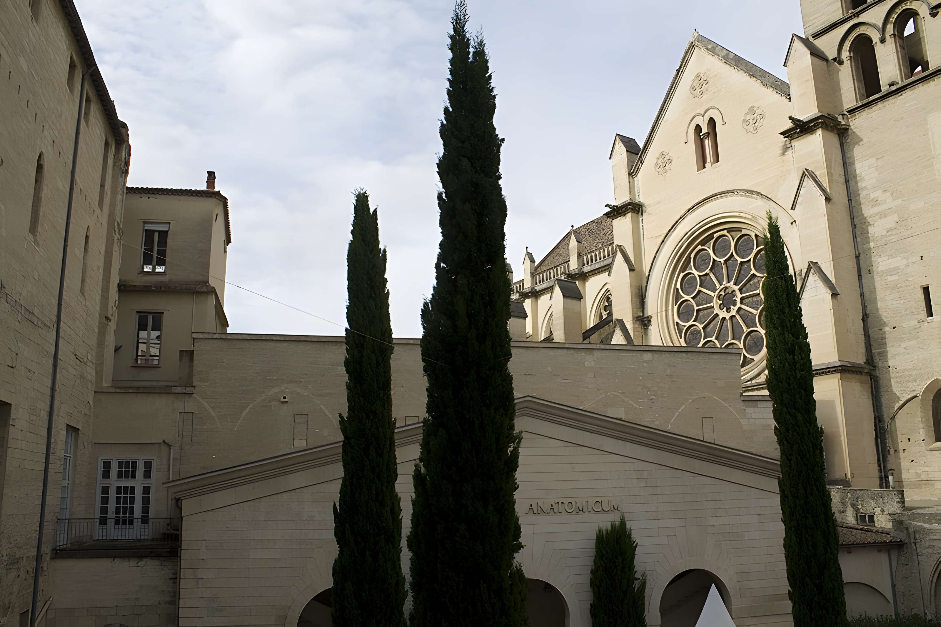 Cathédrale Saint-Pierre de Montpellier