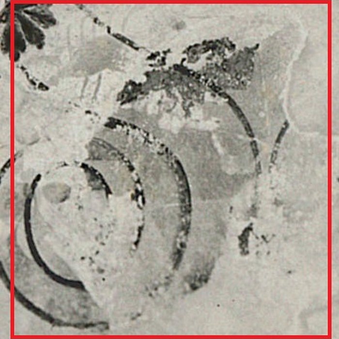 Photo de Couvent des Récollets de Rouffach