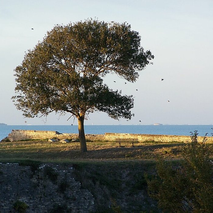Photo de Citadelle et fortifications