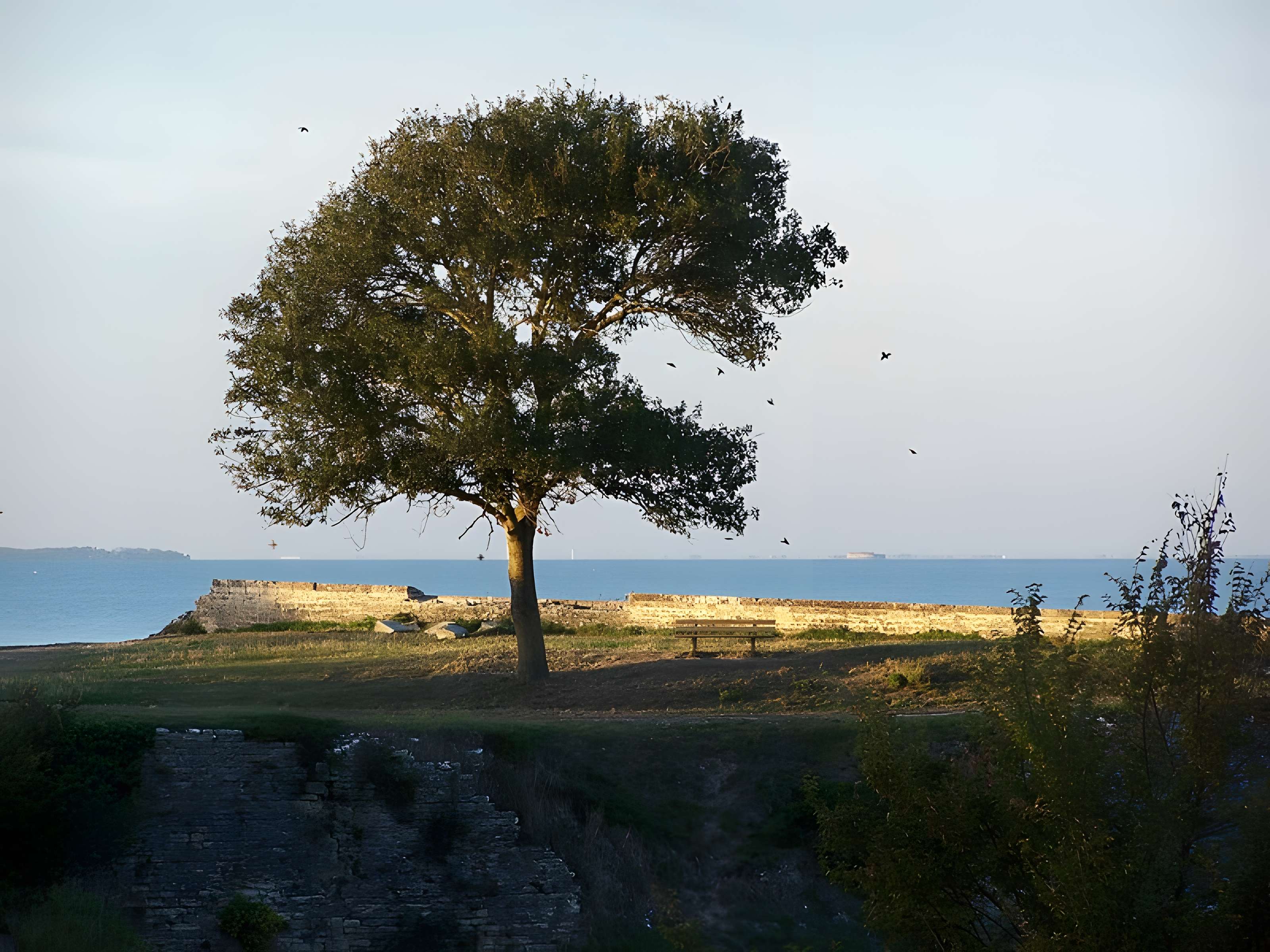 Citadelle et fortifications