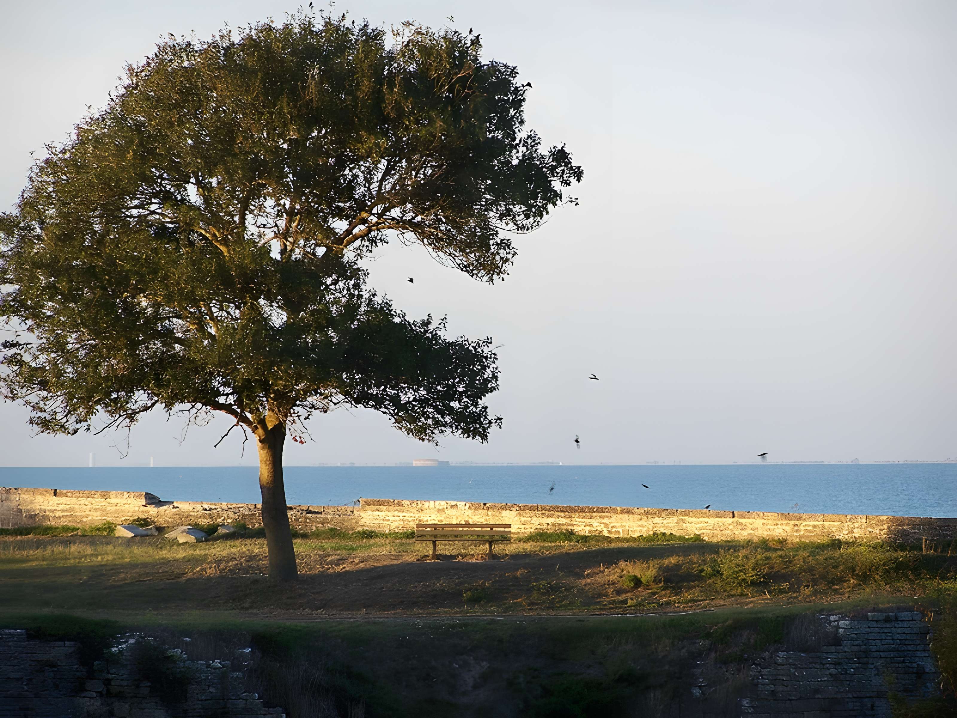 Citadelle et fortifications