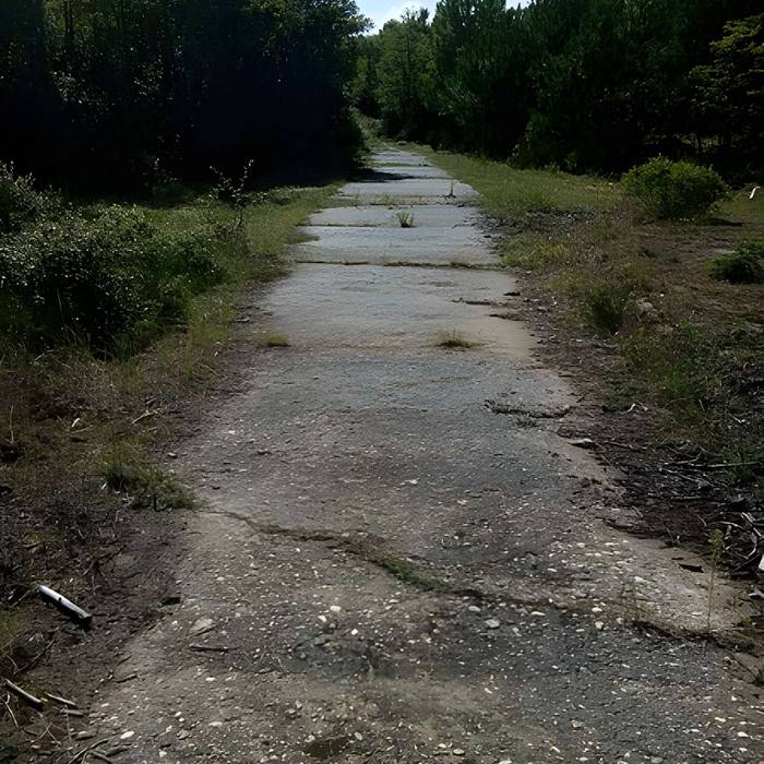 Photo de Batterie Muschel