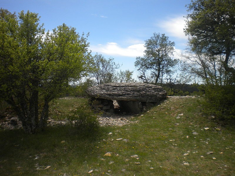 Photo de Dolmen de Chamgefège à Balsièges