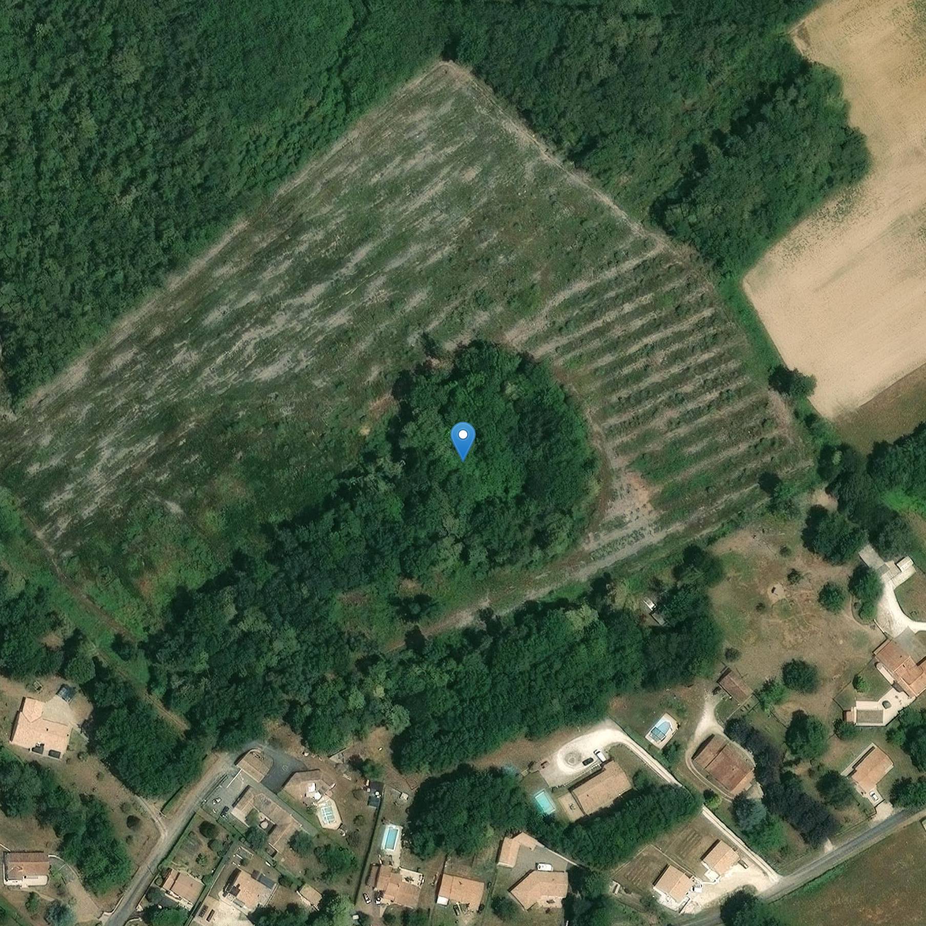 Photo de Altoparlante principale e tutti i tagli