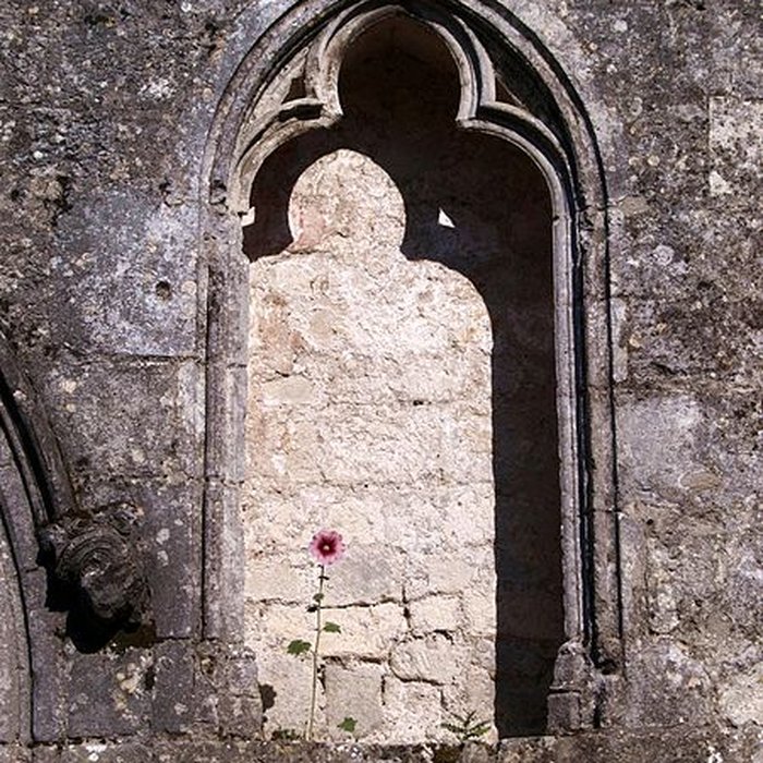 Photo de Eglise Saint-Pierre
