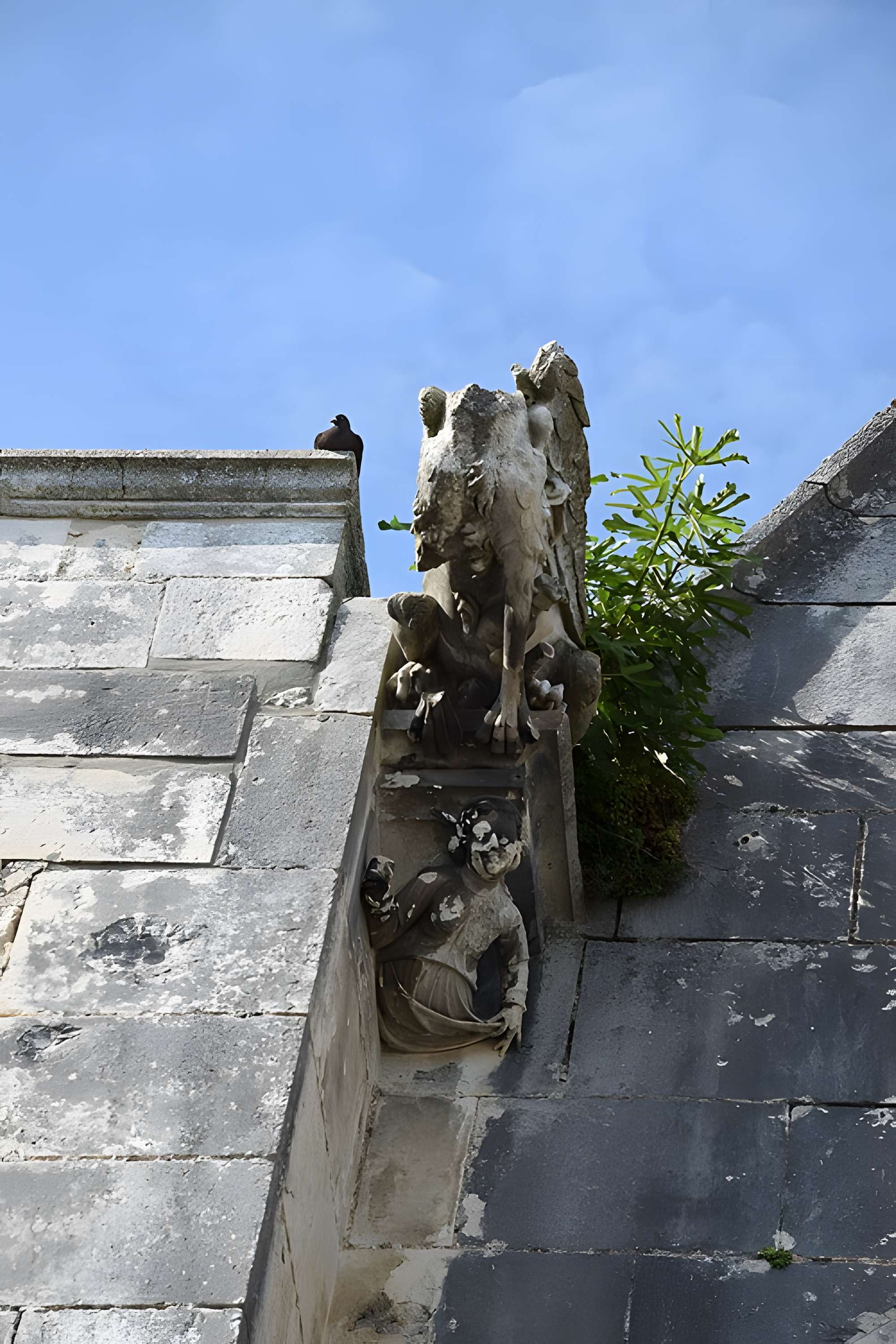 Cathédrale Saint-Pierre de Saintes