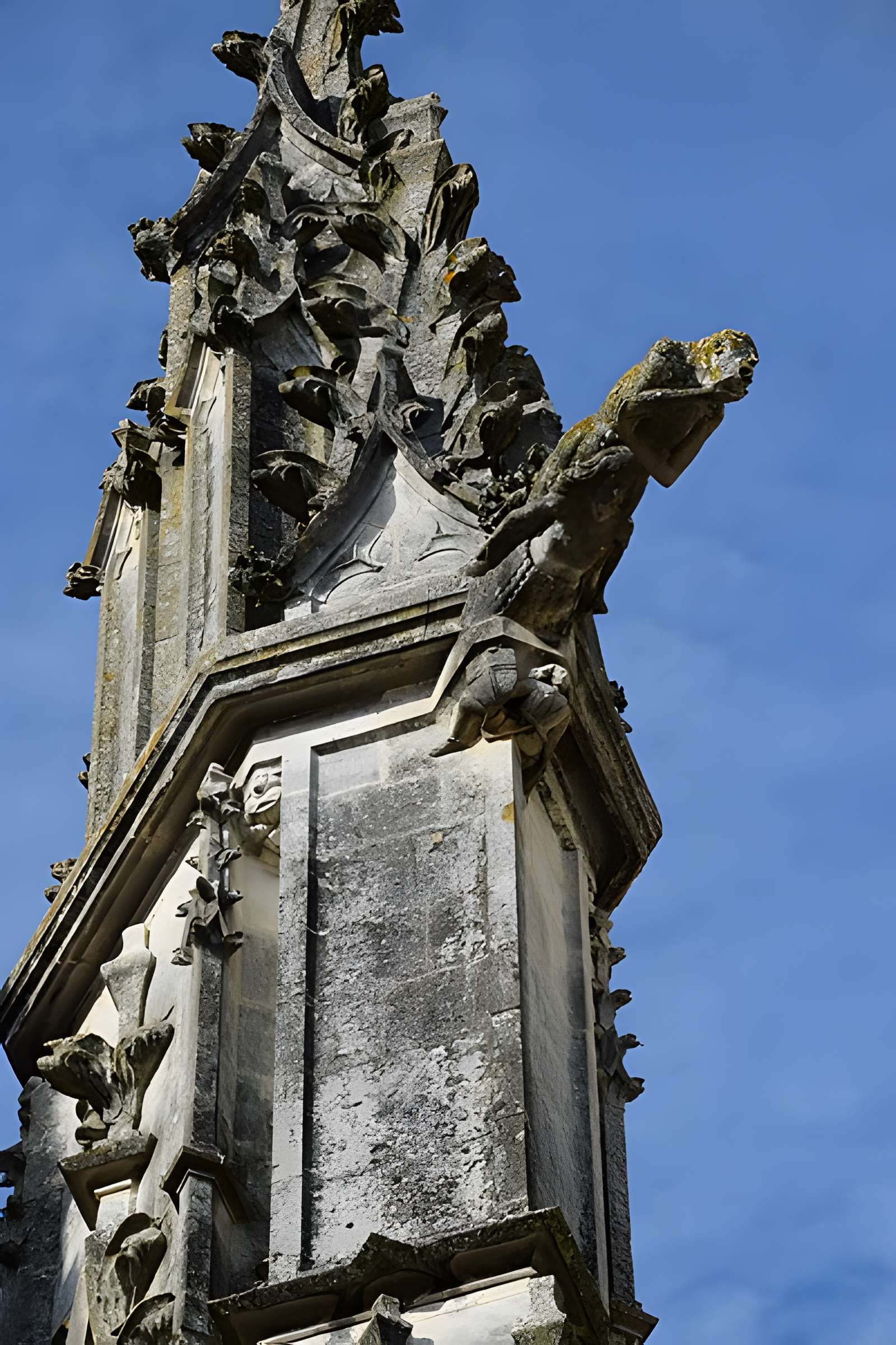 Cathédrale Saint-Pierre de Saintes