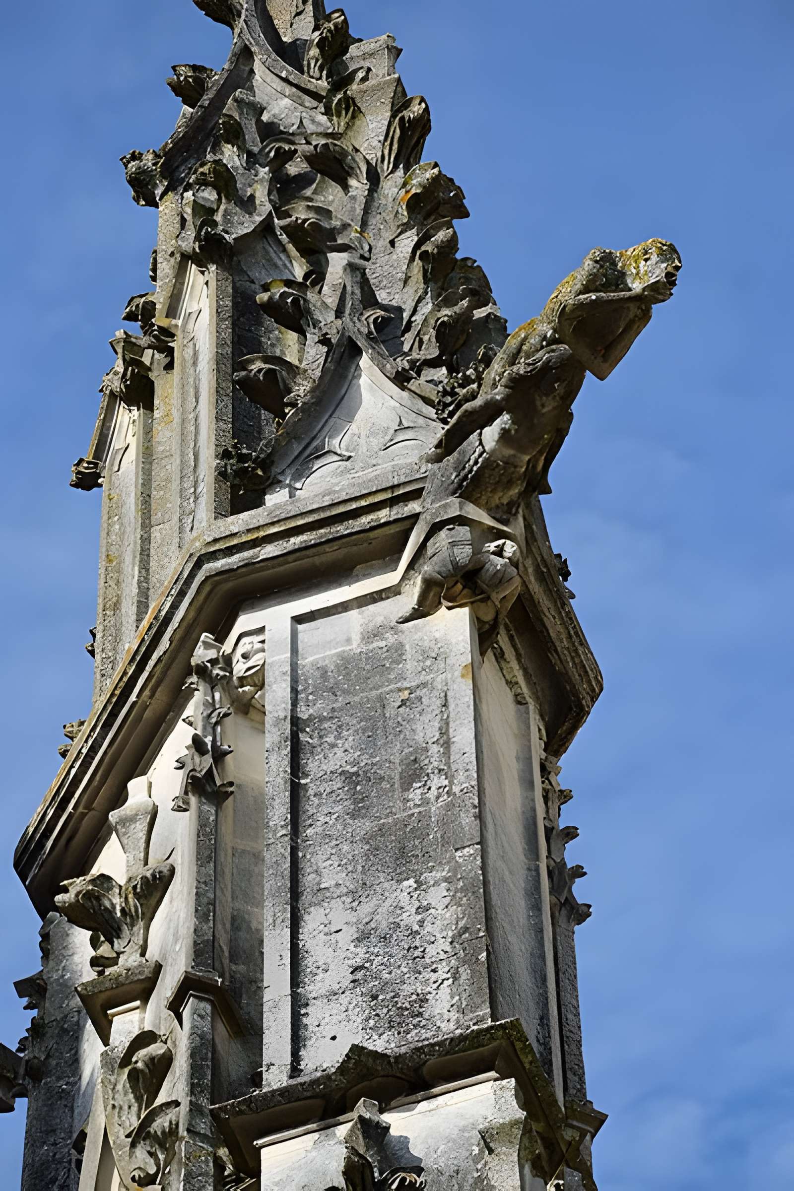 Cathédrale Saint-Pierre de Saintes