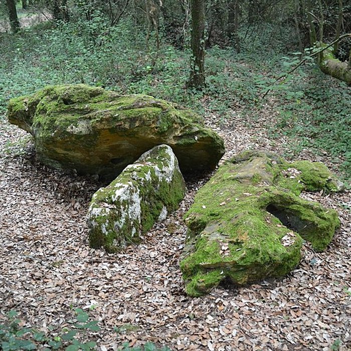 Photo de Dolmen effondré appelé La Pierre Levée de Berthe-grille