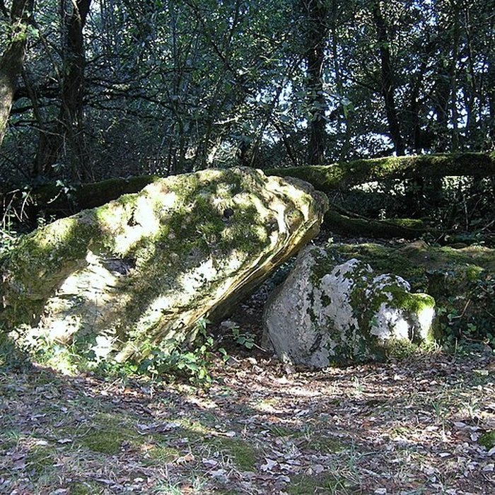 Photo de Dolmen effondré appelé La Pierre Levée de Berthe-grille