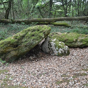 Dolmen effondré appelé La Pierre Levée de Berthe-grille