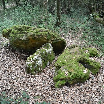 Dolmen effondré appelé La Pierre Levée de Berthe-grille