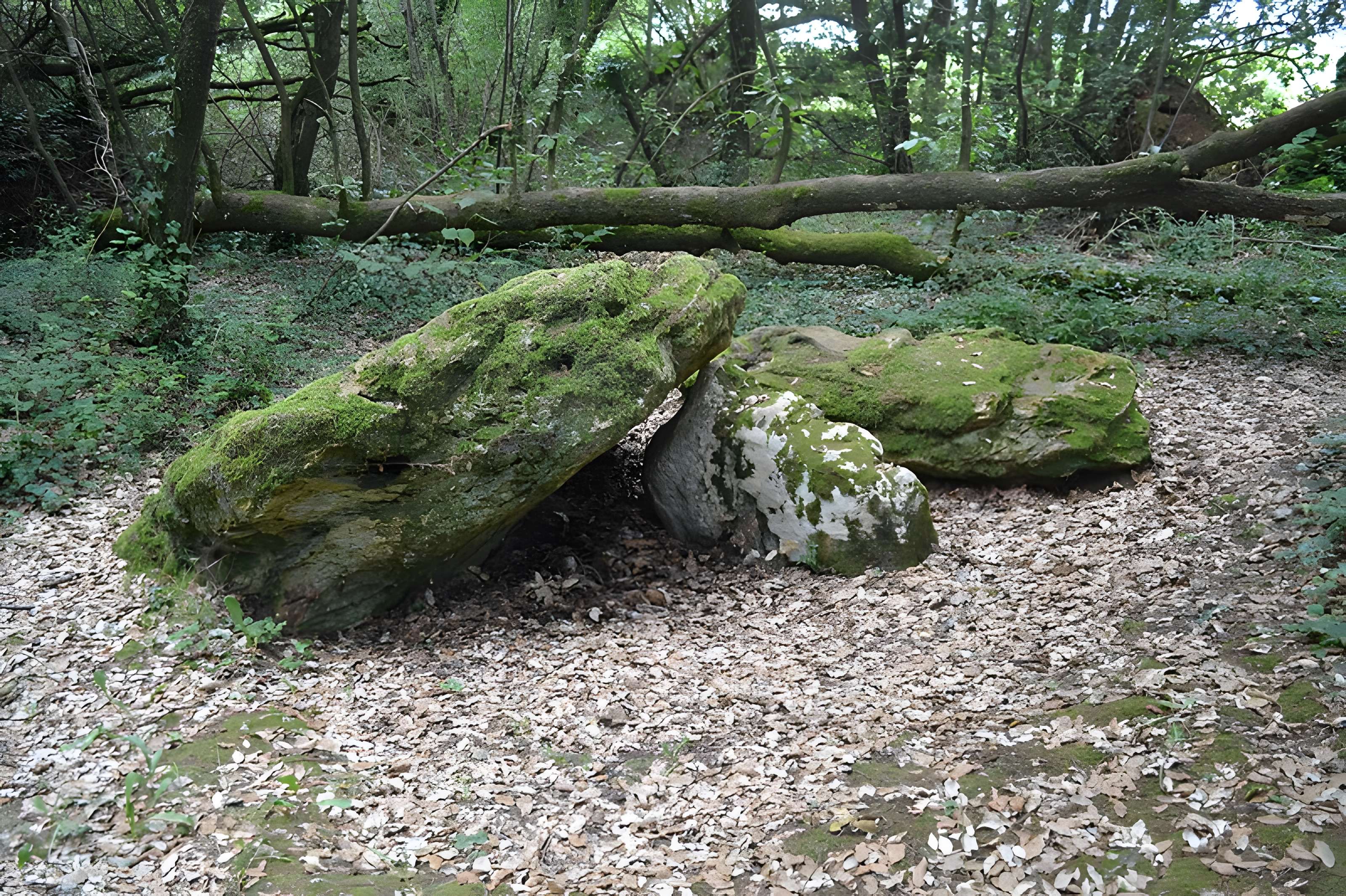 Dolmen effondré appelé La Pierre Levée de Berthe-grille