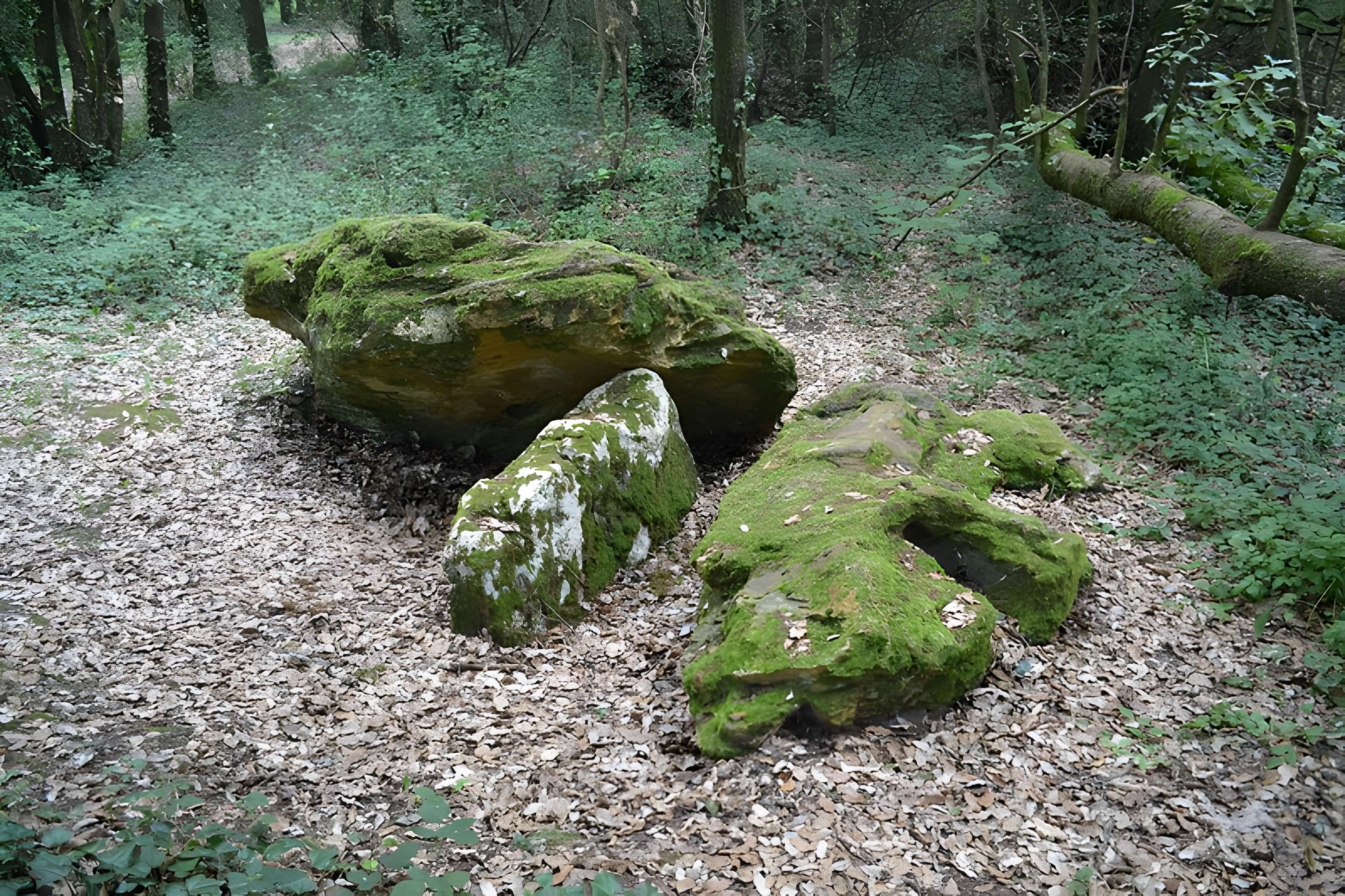 Dolmen effondré appelé La Pierre Levée de Berthe-grille