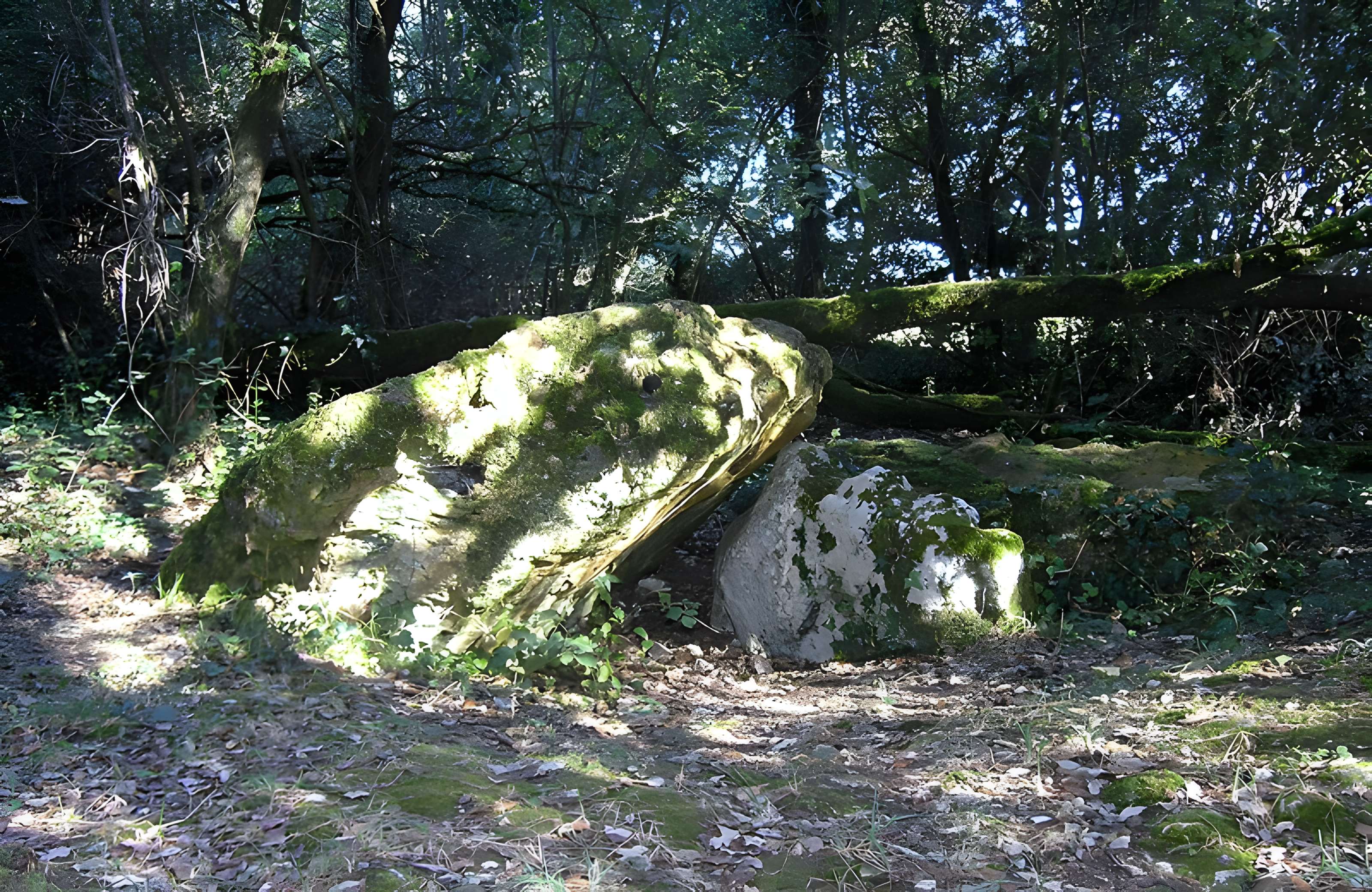 Dolmen effondré appelé La Pierre Levée de Berthe-grille