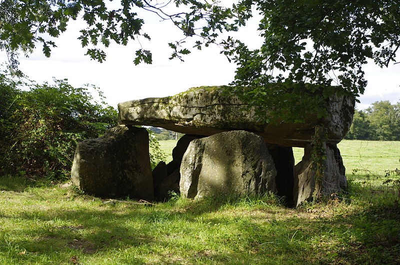 Photo de Dolmen de La Borderie à Berneuil