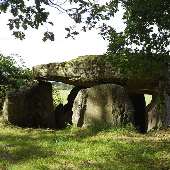 Photo de Dolmen de La Borderie à Berneuil