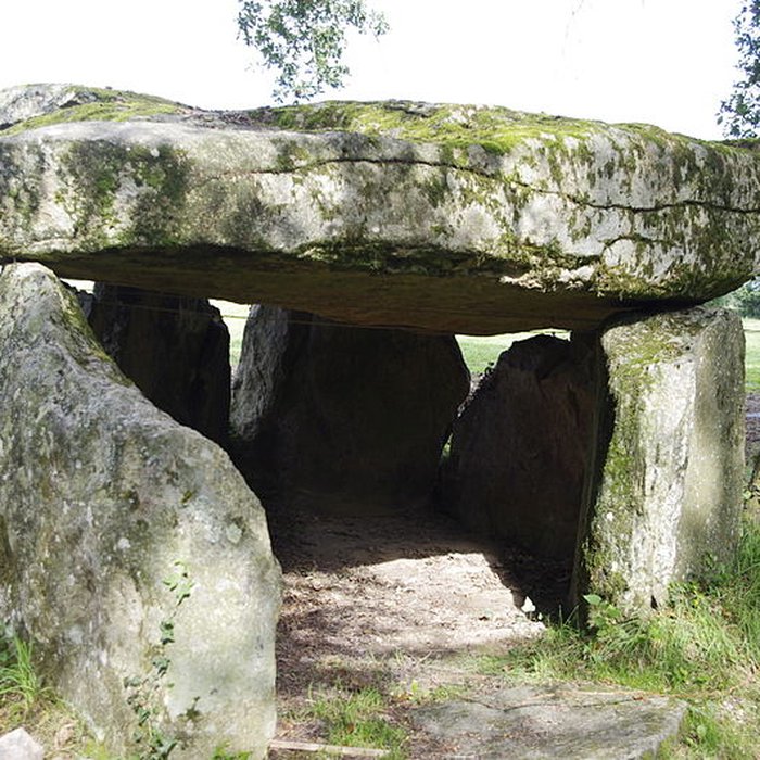 Photo de Dolmen de La Borderie à Berneuil