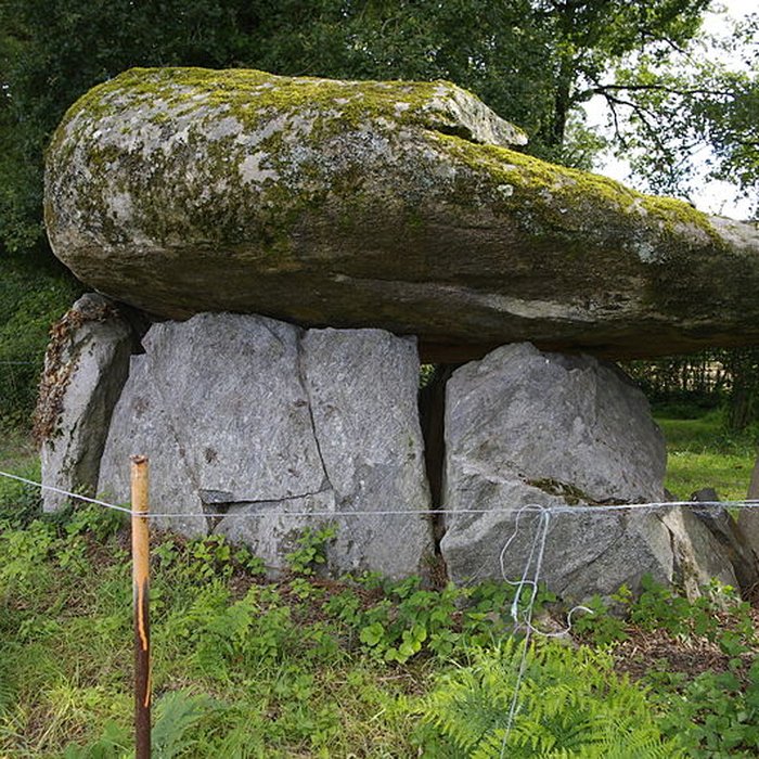 Photo de Dolmen de La Borderie à Berneuil