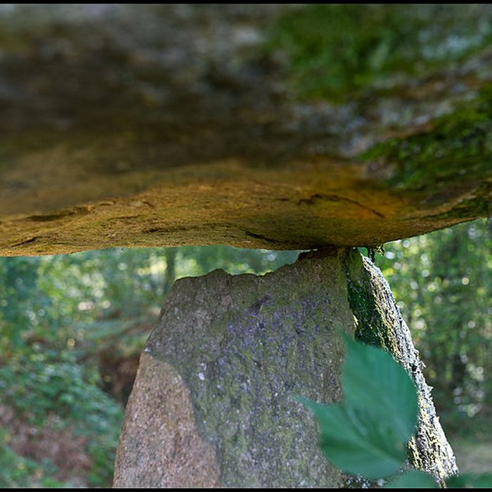 Photo de Dolmen de La Borderie à Berneuil