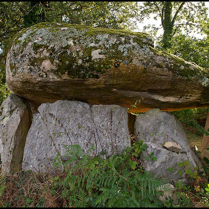 Photo de Dolmen de La Borderie à Berneuil