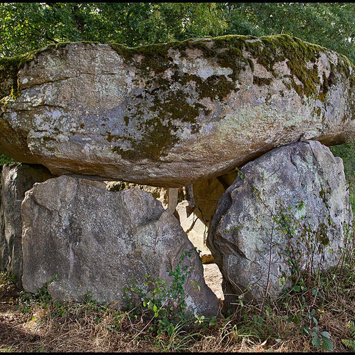Photo de Dolmen de La Borderie à Berneuil