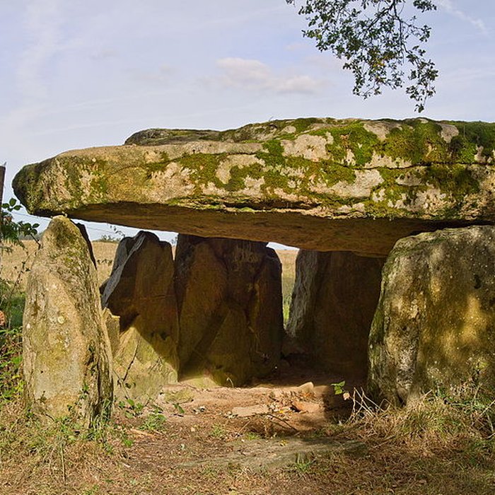 Photo de Dolmen de La Borderie à Berneuil