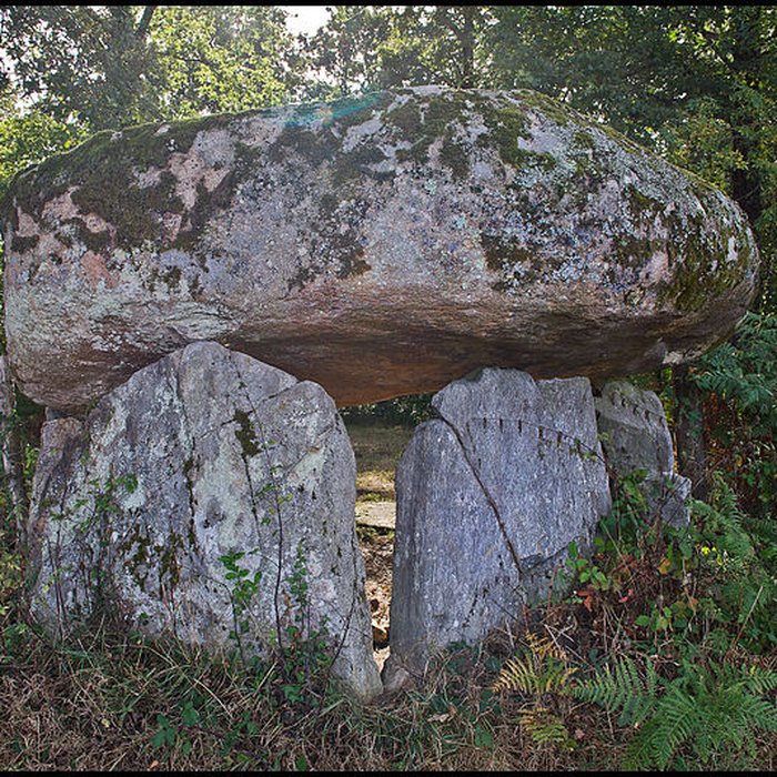 Photo de Dolmen de La Borderie à Berneuil