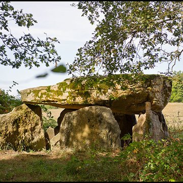 Dolmen de La Borderie à Berneuil