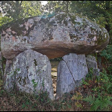Dolmen de La Borderie à Berneuil