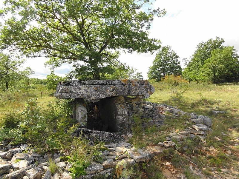 Photo de Dolmen de la Fabière à La Cavalerie