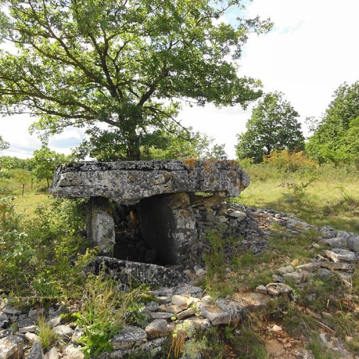 Photo de Dolmen de la Fabière à La Cavalerie