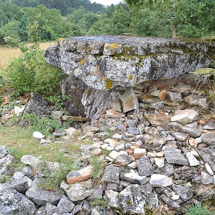 Photo de Dolmen de la Fabière à La Cavalerie