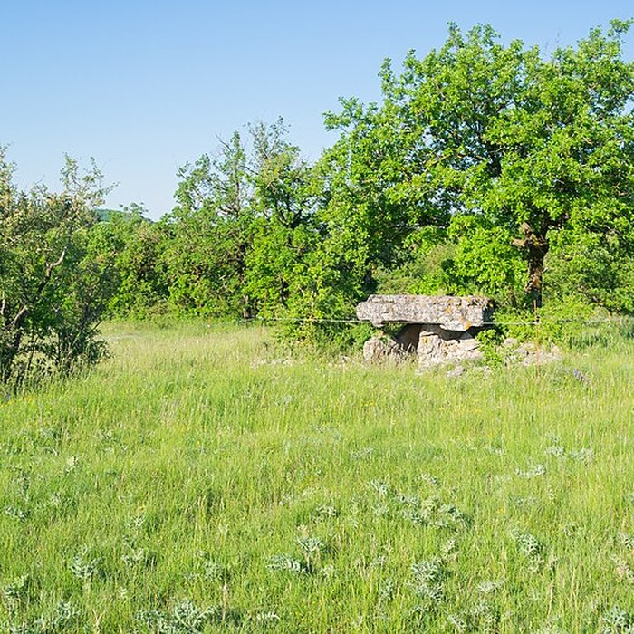 Photo de Dolmen de la Fabière à La Cavalerie
