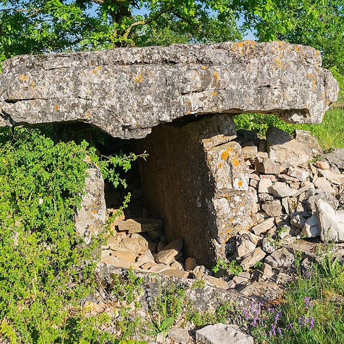 Photo de Dolmen de la Fabière à La Cavalerie