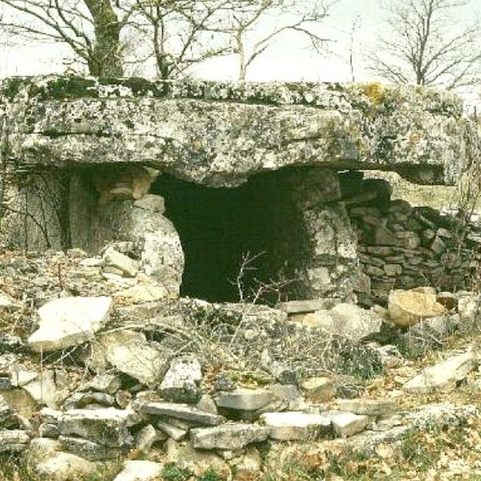 Photo de Dolmen de la Fabière à La Cavalerie