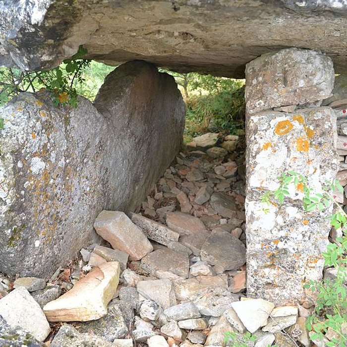 Photo de Dolmen de la Fabière à La Cavalerie