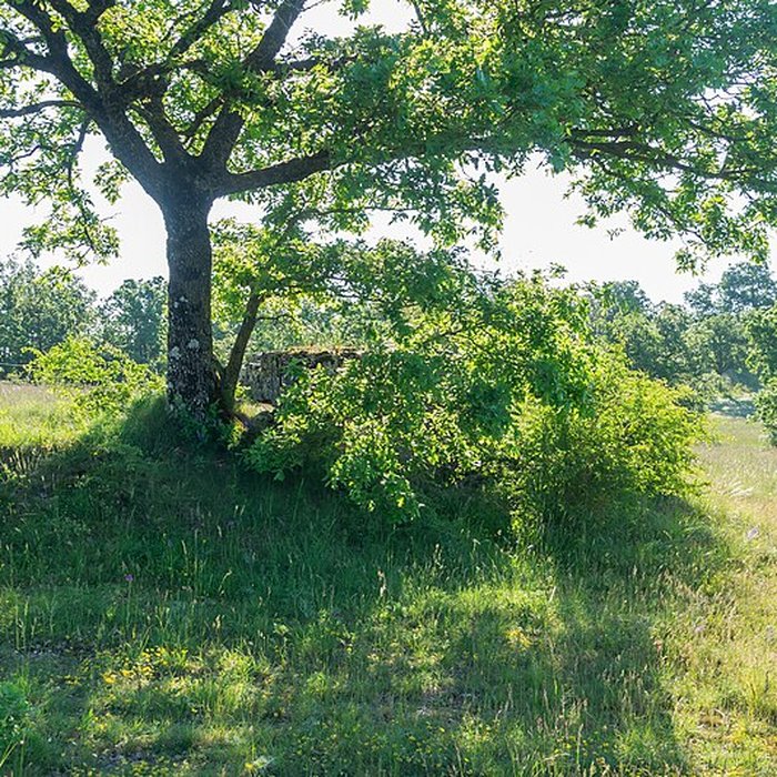 Photo de Dolmen de la Fabière à La Cavalerie