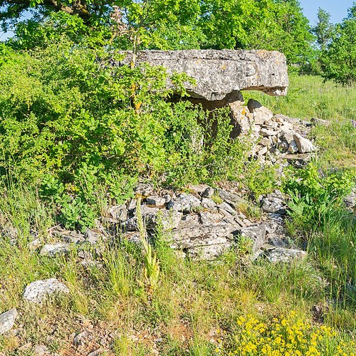 Photo de Dolmen de la Fabière à La Cavalerie