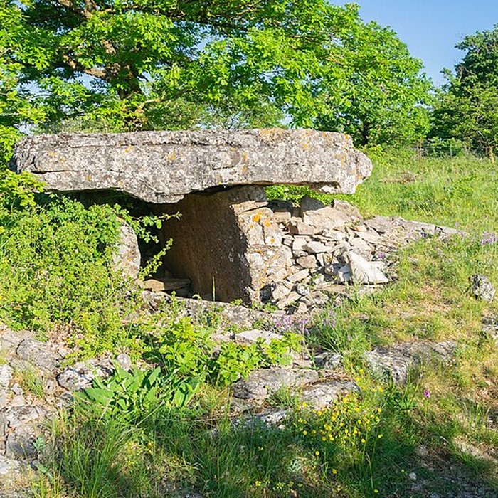 Photo de Dolmen de la Fabière à La Cavalerie
